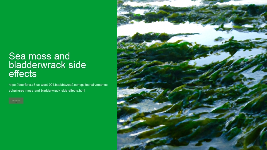sea moss and bladderwrack side effects