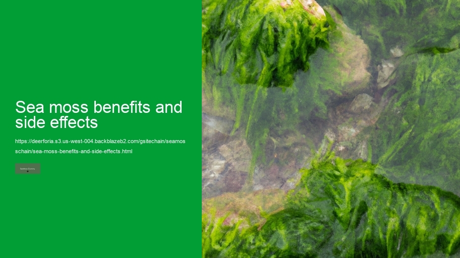 sea moss benefits and side effects