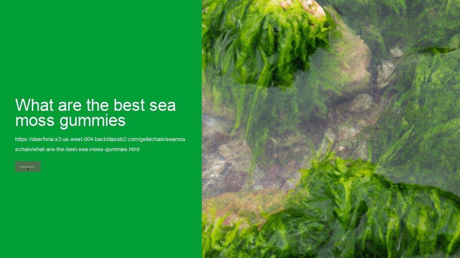 what are the best sea moss gummies