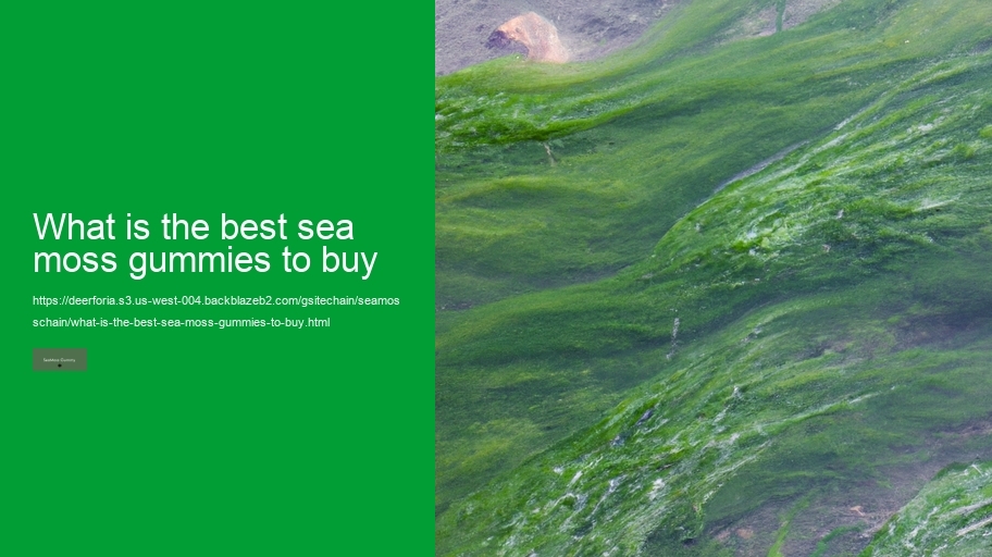 what is the best sea moss gummies to buy