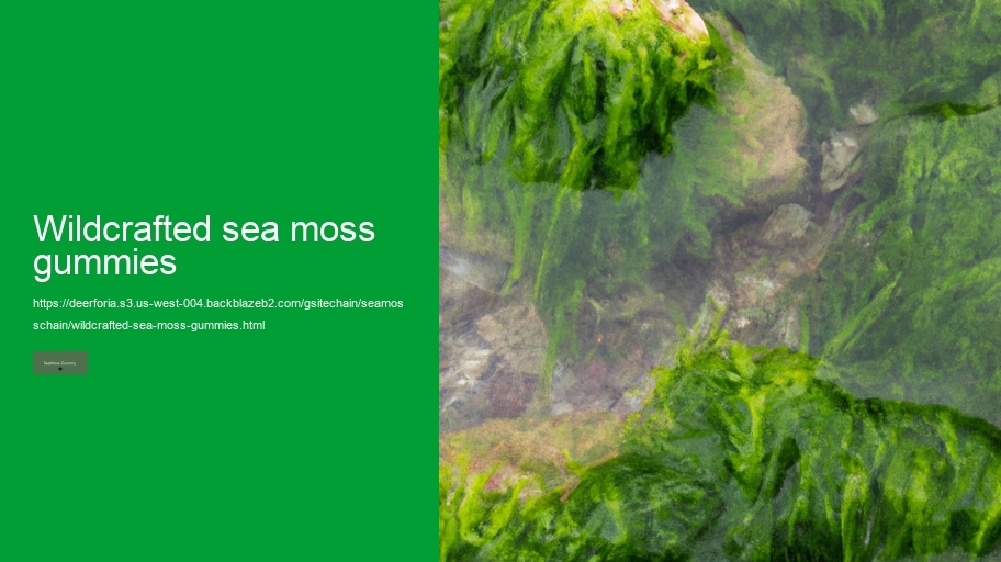 wildcrafted sea moss gummies